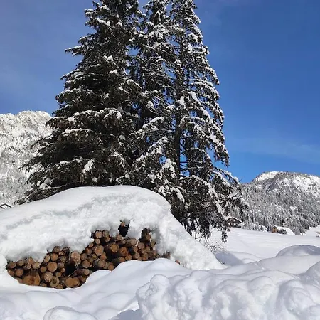 Apartment Appartamento Centrale Sappada